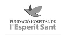 Fundació Hospital de l’Esperit Sant